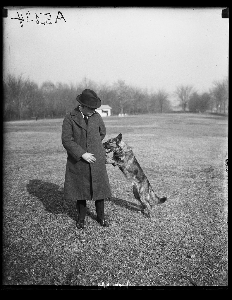Person in an overcoat standing in an open field with a large dog jumping up beside them.