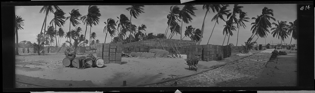 A long panoramic view of whiskey cases stacked in large piles along a sandy beach, with palm trees behind.