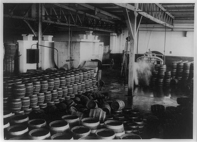 Rows of large wooden barrels lined up inside a building.