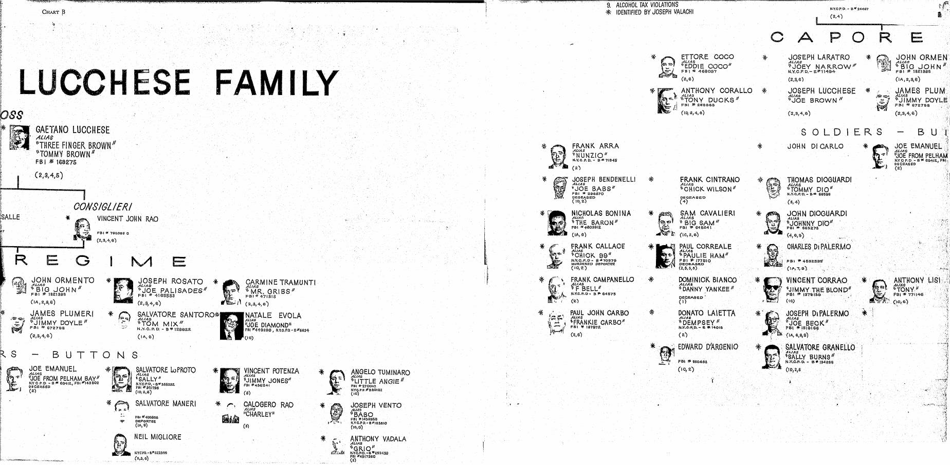 Double-width segment of Chart B headed "Lucchese Family", with the boss box for Gaetano Lucchese, the consiglieri box, and rows of caporegime and soldiers with small photographs.