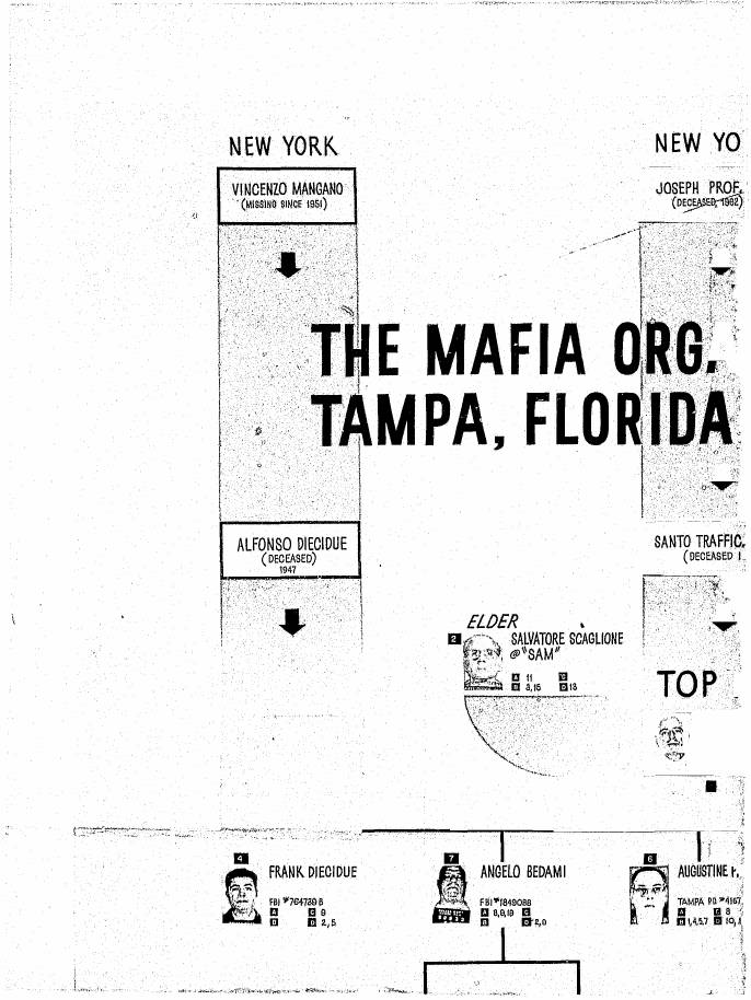 Segment of a chart headed "The Mafia Org. Tampa, Florida", with "New York" boxes at the top, Tampa boxes below, an "Elder" box, and the edge of a "Top" box.