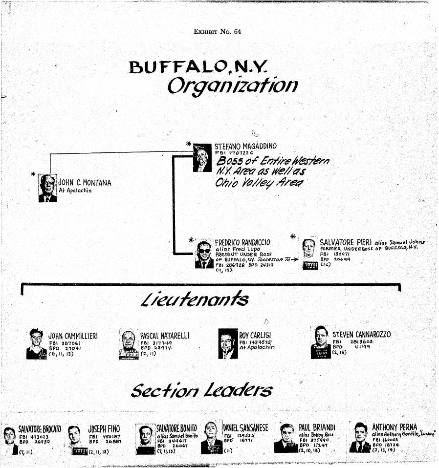 Exhibit No. 64, headed "Buffalo, N.Y. Organization", with photograph boxes for Stefano Magaddino and others at the top and rows labelled "Lieutenants" and "Section Leaders".